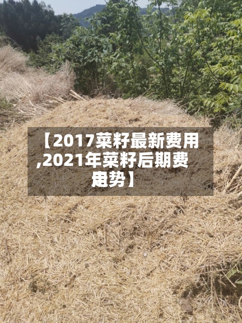 【2017菜籽最新费用,2021年菜籽后期费用走势】-第2张图片
