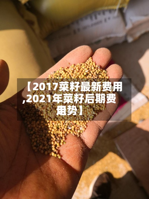 【2017菜籽最新费用,2021年菜籽后期费用走势】