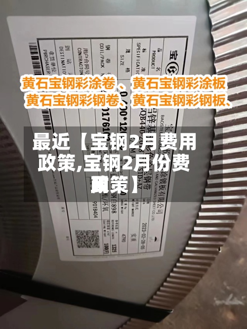 最近【宝钢2月费用政策,宝钢2月份费用政策】