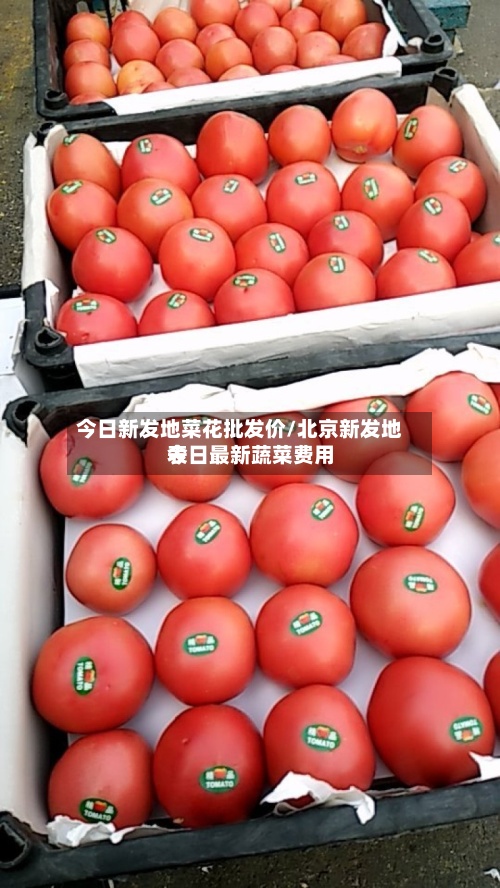 今日新发地菜花批发价/北京新发地今日最新蔬菜费用表-第2张图片