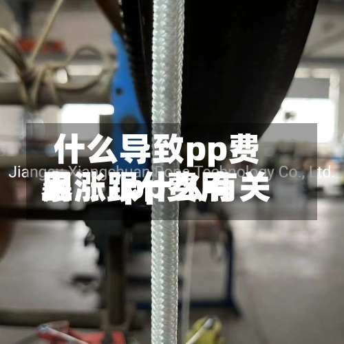 什么导致pp费用暴涨/pp费用上涨跟什么有关-第2张图片
