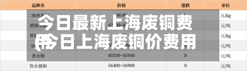 今日最新上海废铜费用(今日上海废铜价费用最新行情)
