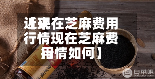近来
【现在芝麻费用
行情现在芝麻费用
行情如何】-第2张图片