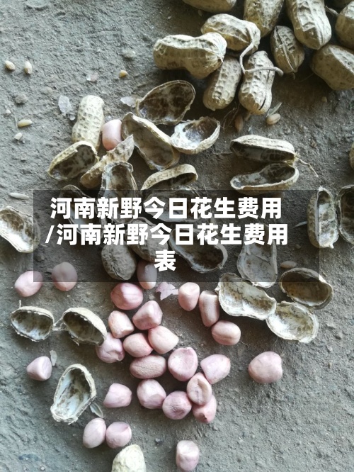 河南新野今日花生费用/河南新野今日花生费用表