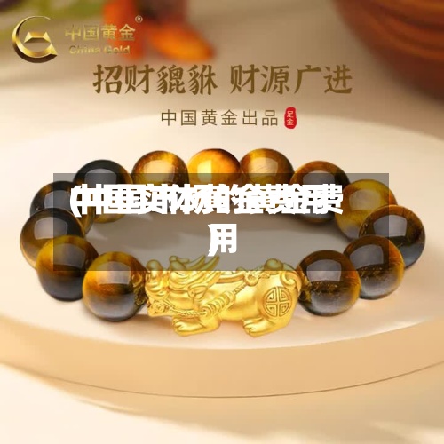 中国实体黄金费用(中国市场的黄金费用)