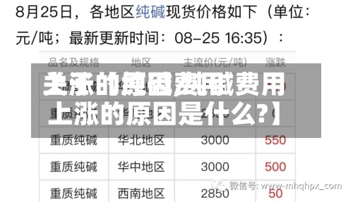 关于【纯碱费用
上涨的原因,纯碱费用
上涨的原因是什么?】-第3张图片
