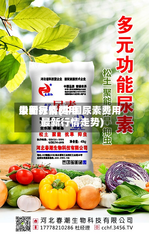 中国尿素费用最新行情(中国尿素费用最新行情走势)