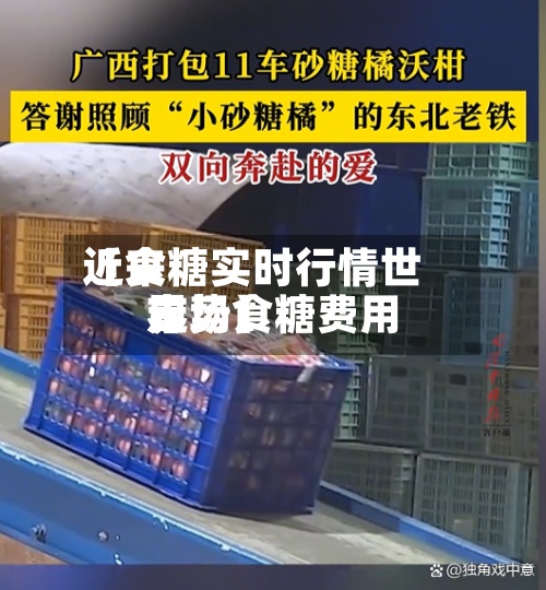 近来【食糖实时行情世界市场食糖费用走势】-第2张图片