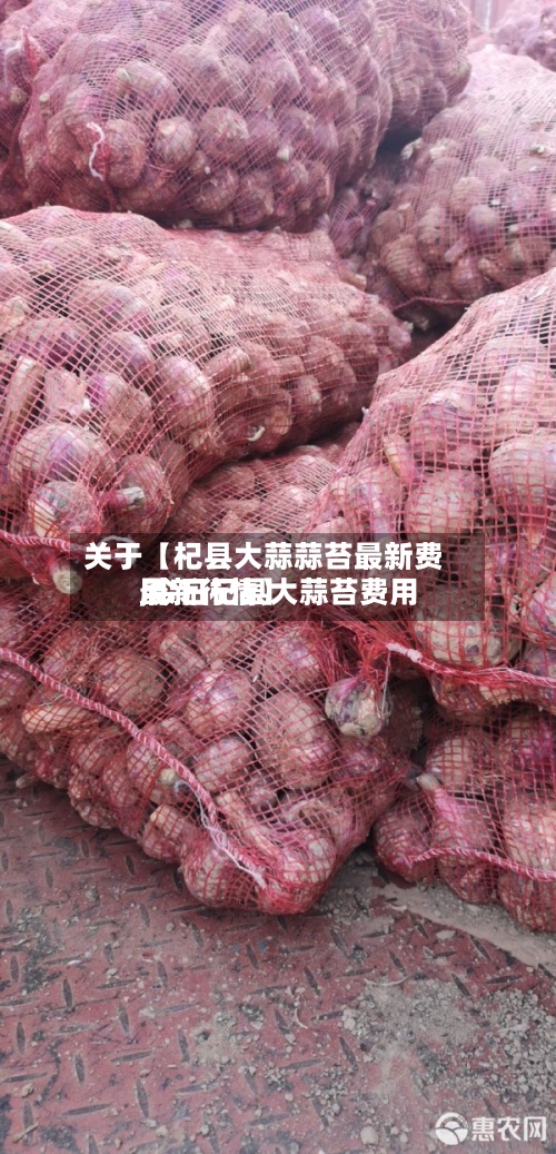 关于【杞县大蒜蒜苔最新费用
,今日杞县大蒜苔费用
最新行情】-第2张图片