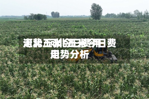 河北玉米今日费用走势/河北玉米今日费用走势分析-第2张图片