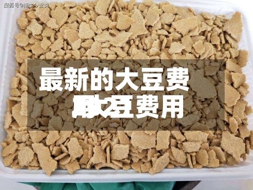 最新的大豆费用
/大豆费用
2021-第2张图片