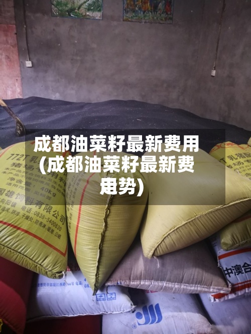 成都油菜籽最新费用(成都油菜籽最新费用走势)-第3张图片