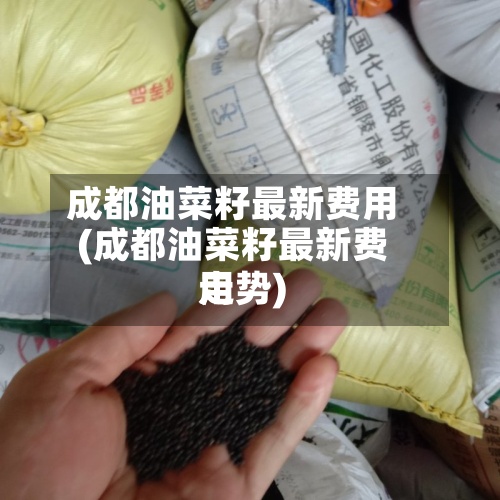 成都油菜籽最新费用(成都油菜籽最新费用走势)-第2张图片