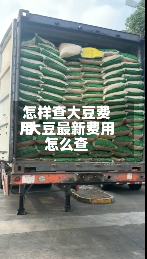 怎样查大豆费用/大豆最新费用怎么查
