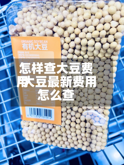 怎样查大豆费用
/大豆最新费用
怎么查-第2张图片