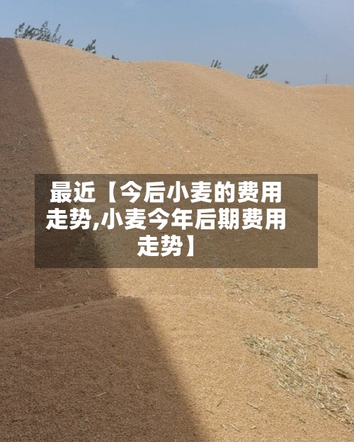 最近【今后小麦的费用走势,小麦今年后期费用走势】
