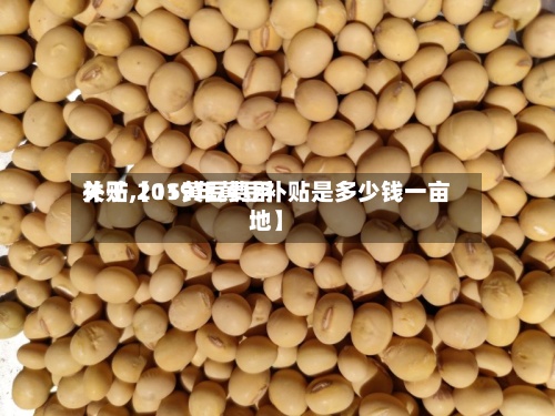 关于【15黄豆费用补贴,2019年黄豆补贴是多少钱一亩地】-第2张图片