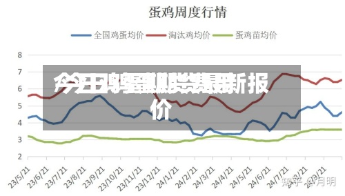 今日鸡蛋期货费用/今日鸡蛋期货最新报价