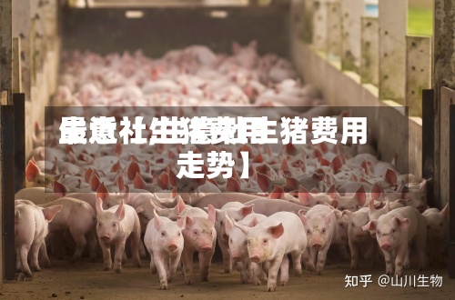最近【生猪费用
生意社,生意社生猪费用
走势】-第3张图片