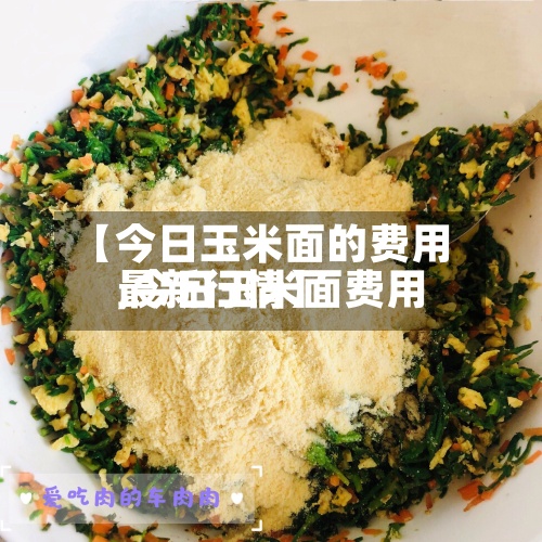 【今日玉米面的费用,今日玉米面费用最新行情】