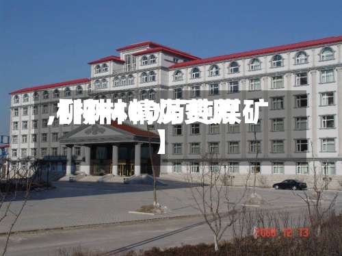 【柳林精煤费用,柳林400万吨煤矿】