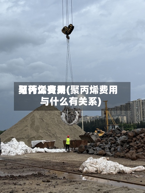 聚丙烯费用
与什么有关(聚丙烯费用
与什么有关系)-第2张图片