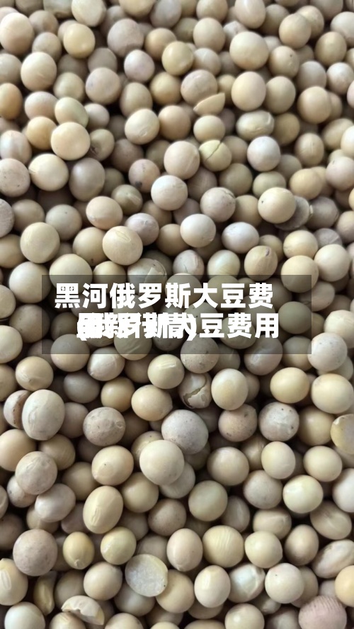 黑河俄罗斯大豆费用(俄罗斯大豆费用最新行情)-第2张图片
