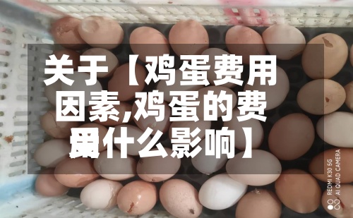 关于【鸡蛋费用因素,鸡蛋的费用受什么影响】-第2张图片