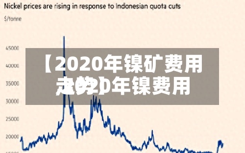 【2020年镍矿费用,2020年镍费用走势】