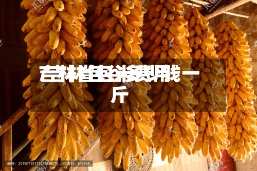 吉林省包米费用/吉林包谷多少钱一斤