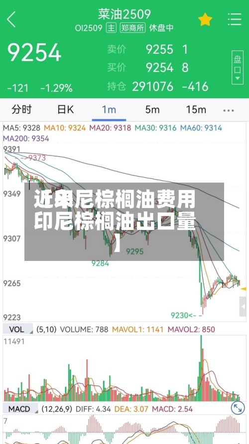 近来
【印尼棕榈油费用
印尼棕榈油出口量】-第3张图片