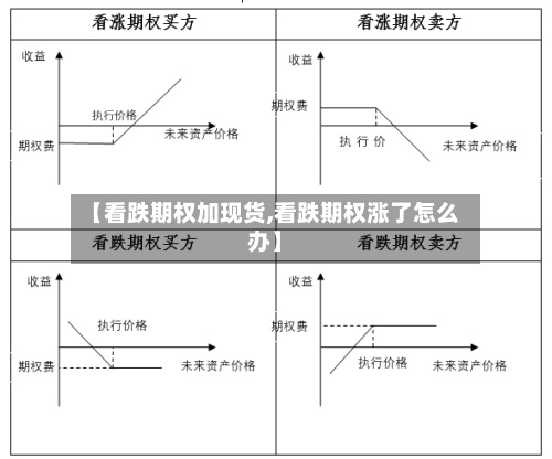 【看跌期权加现货,看跌期权涨了怎么办】