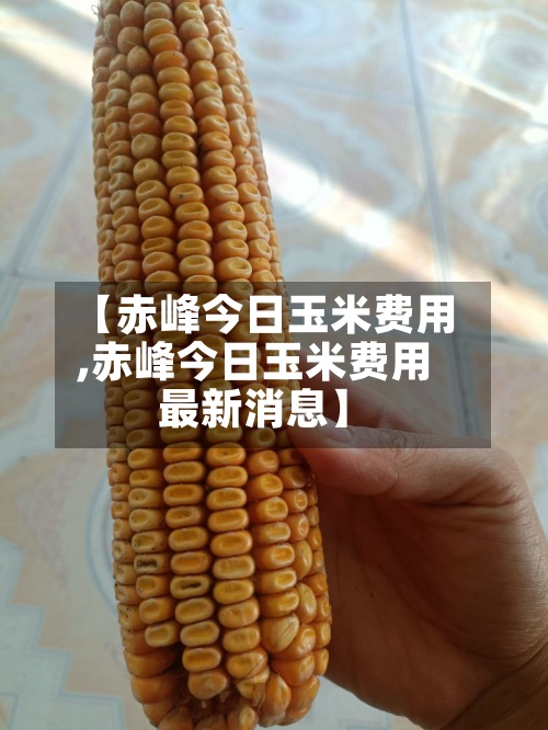 【赤峰今日玉米费用,赤峰今日玉米费用最新消息】-第2张图片
