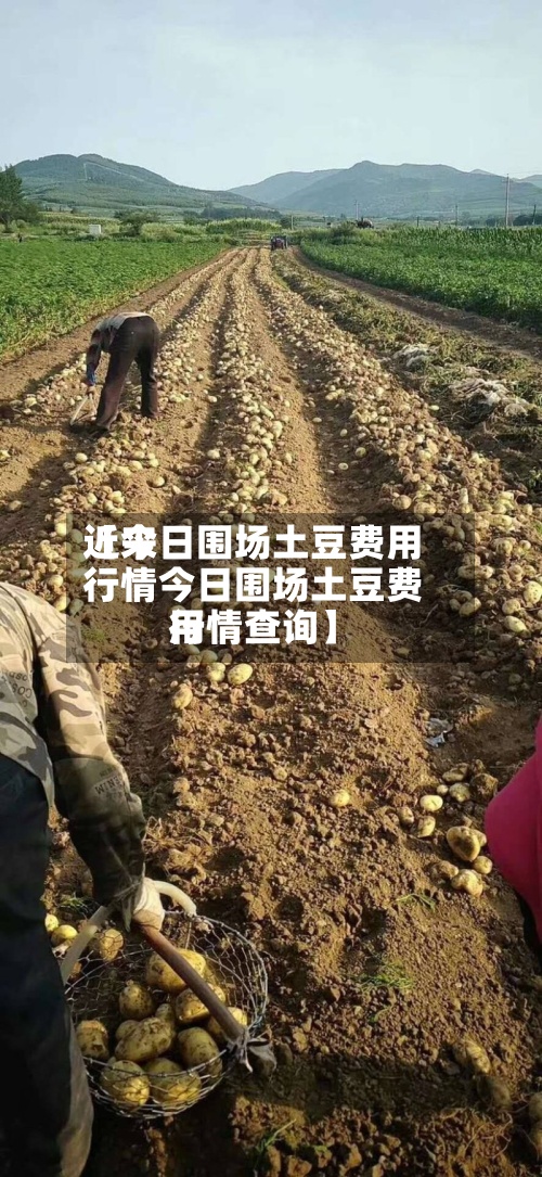 近来【今日围场土豆费用行情今日围场土豆费用行情查询】