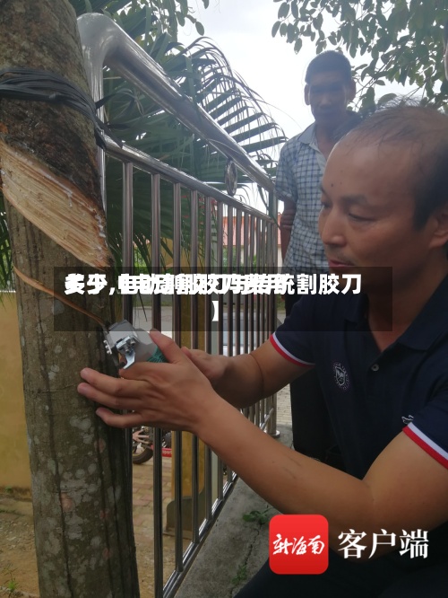 关于【电动割胶刀费用
多少,电动割胶刀与传统割胶刀】-第2张图片