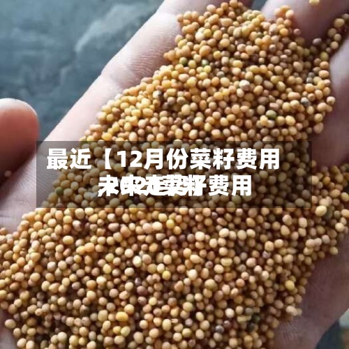最近【12月份菜籽费用
,2020菜籽费用
未来走势】-第2张图片