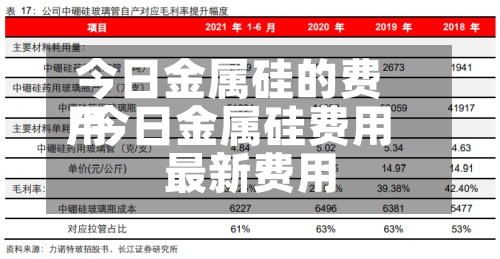 今日金属硅的费用/今日金属硅费用最新费用