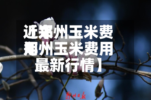 近来
【郑州玉米费用
郑州玉米费用
最新行情】-第2张图片
