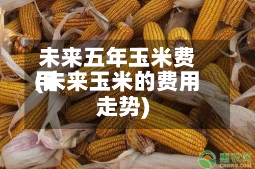 未来五年玉米费用(未来玉米的费用走势)-第2张图片
