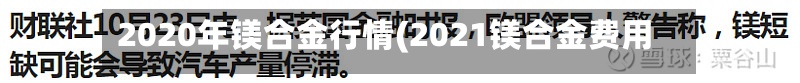2020年镁合金行情(2021镁合金费用行情走势图)-第2张图片