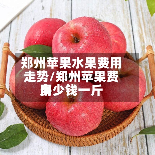 郑州苹果水果费用走势/郑州苹果费用多少钱一斤