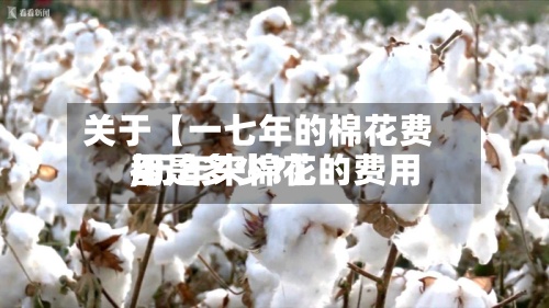 关于【一七年的棉花费用,历年来棉花的费用都是多少?】