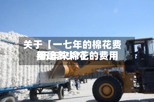 关于【一七年的棉花费用,历年来棉花的费用都是多少?】-第2张图片