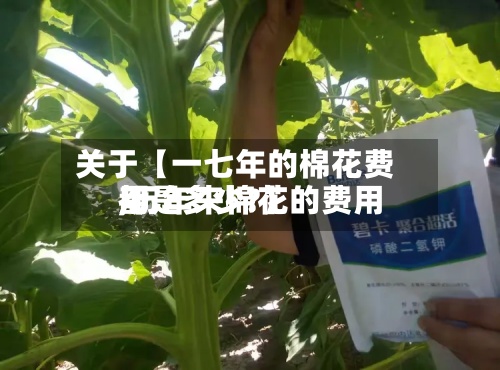 关于【一七年的棉花费用,历年来棉花的费用都是多少?】-第3张图片