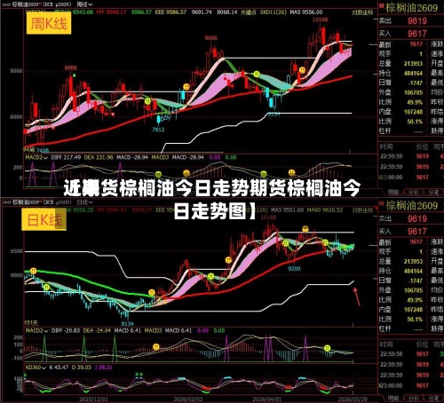 近来【期货棕榈油今日走势期货棕榈油今日走势图】