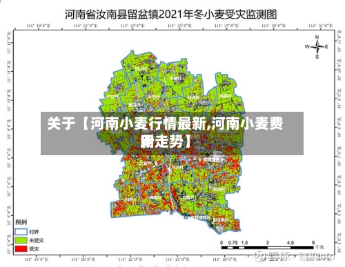 关于【河南小麦行情最新,河南小麦费用新走势】-第3张图片