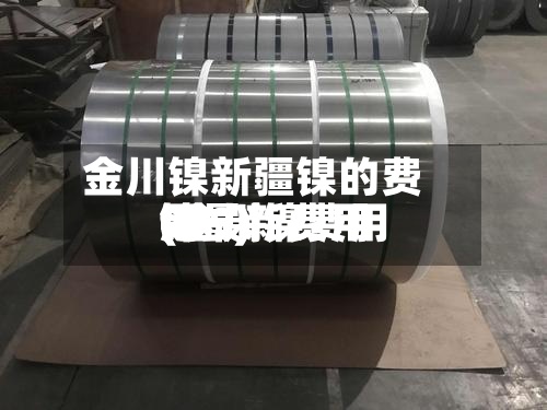 金川镍新疆镍的费用(金川镍费用镍最新费用999)-第2张图片