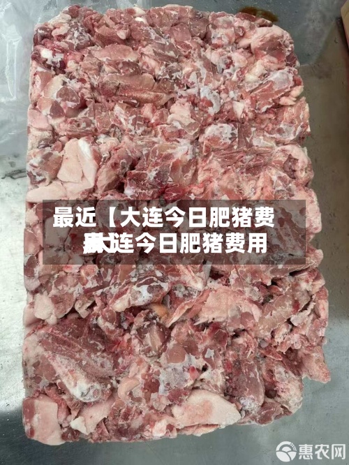 最近【大连今日肥猪费用,大连今日肥猪费用表】