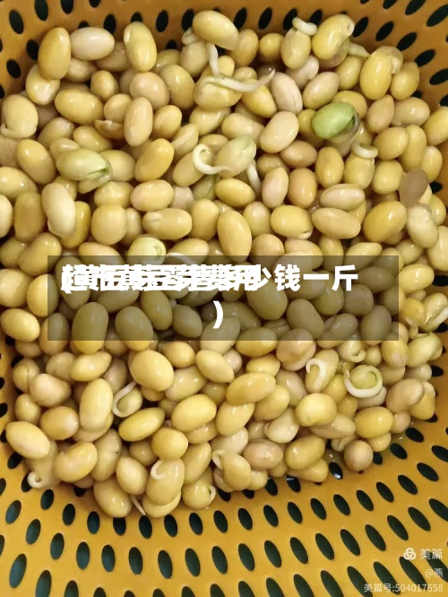 超市黄豆芽费用
(黄豆芽零售多少钱一斤)-第2张图片