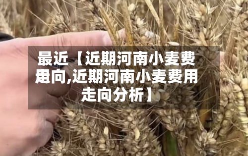 最近【近期河南小麦费用走向,近期河南小麦费用走向分析】